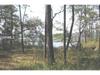 151 Good Hope Rd, Bluffton SC 29910